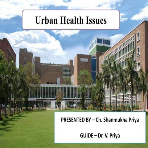 Urban Health Issues in India