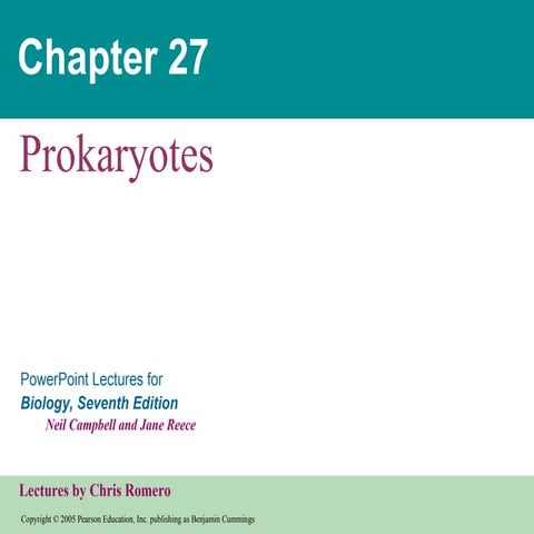 27  prokaryotes text