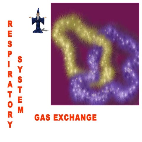 27. respiratory 2-07-08