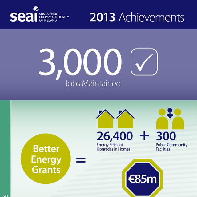 SEAI 2013 achievements infographic