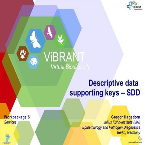 Descriptive data supporting keys – SDD