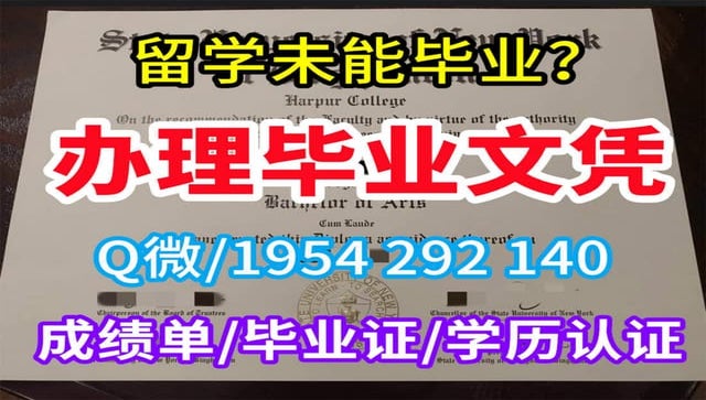 办理英国曼彻斯特城市大学毕业证原版一模一样