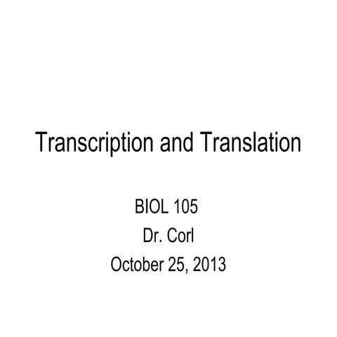 27 28 105 fa13 transcription and translation skel