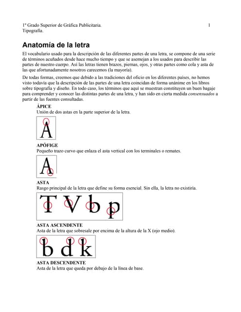 Anatomía De Las Letras Anatomía Tipográfica | Envato Tuts+
