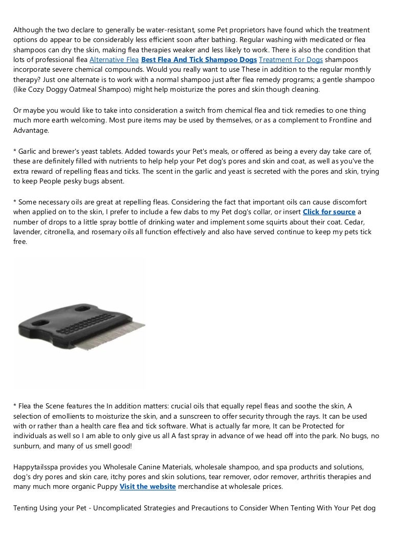 adams dog flea shampoo