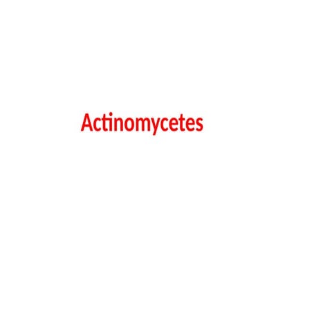 actinomycetes jsjsjjejejejskskskskkwkwkwkwke