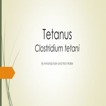 Tetanus Clostridium tetani
