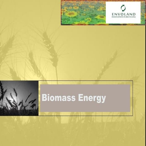 biomass presentation | PPTX