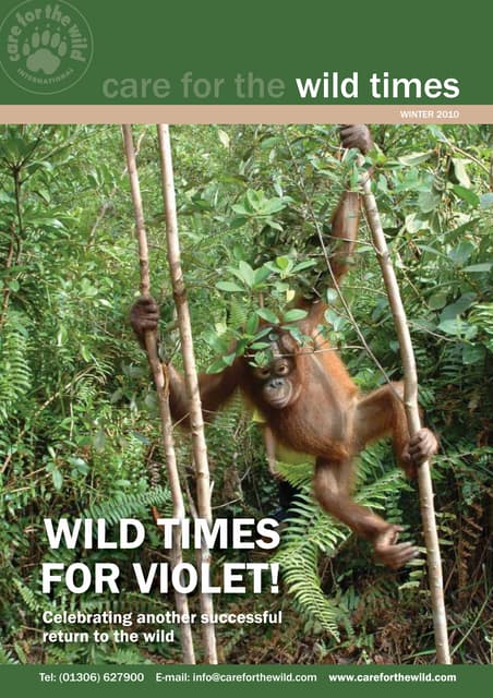 Wild Times