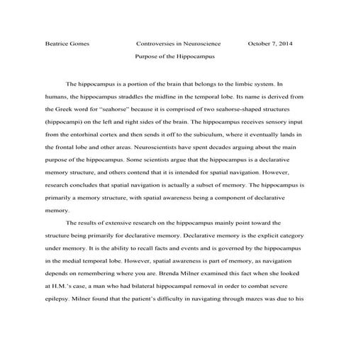 PurposeoftheHippocampus