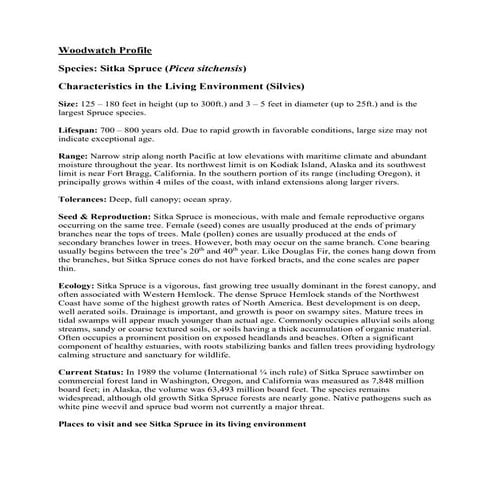 Sitka Spruce | PDF