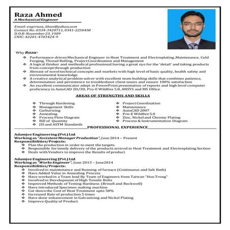 CV of Raza Ahmed