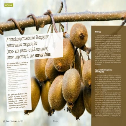 Article - Post harvest fertilization on kiwi