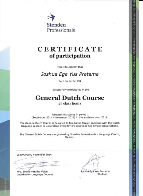 Google Training Certificate of Participation | PDF