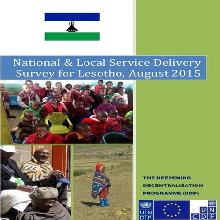 FINAL REPORT - National & Local Service Delivery Survey HKellam