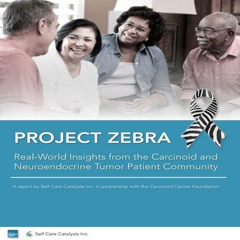 Project Zebra Report 2016