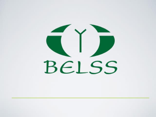 GBF 2015, April 17th, Presentation of Mr. Karlis Maulics
