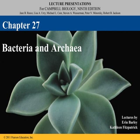 27 lecture bacteria