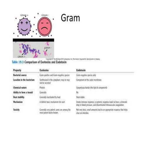 27 lecture protists!