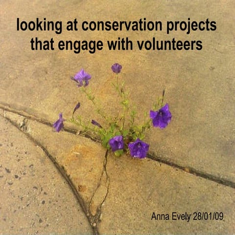 Dr. Anna Evely. Looking at conservation projects that engage with volunteers