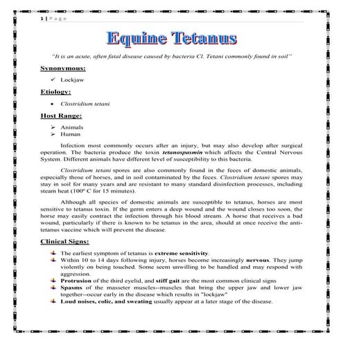 Equine tetanus (lockjaw)