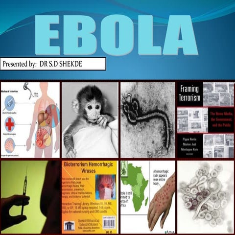 EBOLA VIRUS