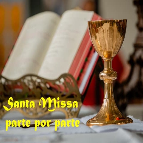 a santa missa parte por partes para formação