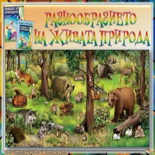 28. Разнообразието на живата природ...