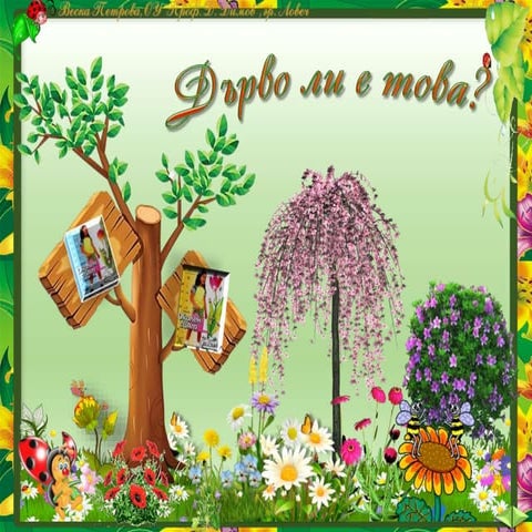 28. Дърво ли е това? Видове растения според стъблата. Органи на растенията - ...