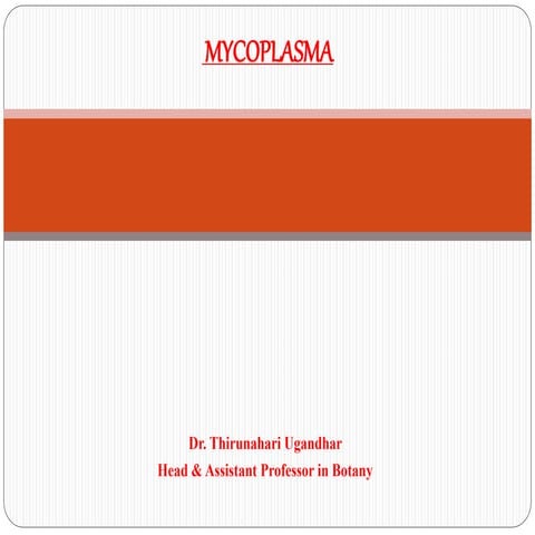 Mycoplasma &amp; actinomycetes
