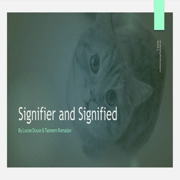 28.02.22 Analysing Performance - Signifier and Signified