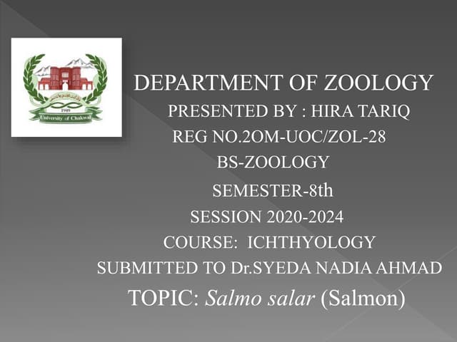 28. Salmo salar (Salmon), interesting facts and economic importance.pptx