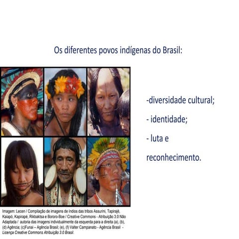 povos indiginas Brasileiros, diversidade | PPT