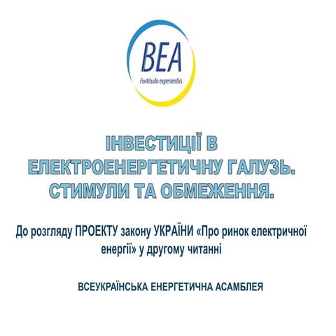 Інвестиції в електроенергетичну галузь. Стимули та обмеження.
