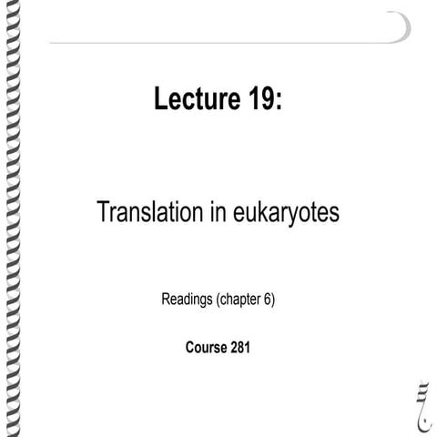 281 lec19 euk_translation