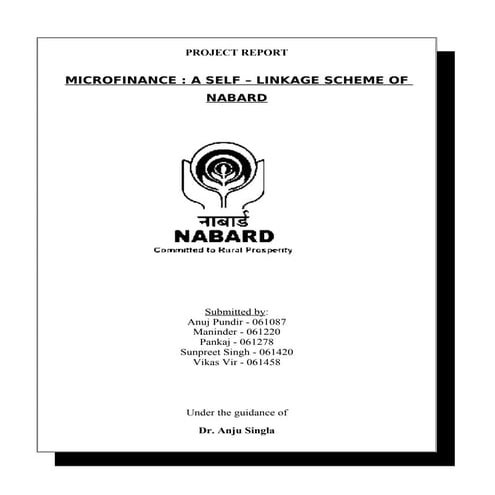 28501658 nabard-report