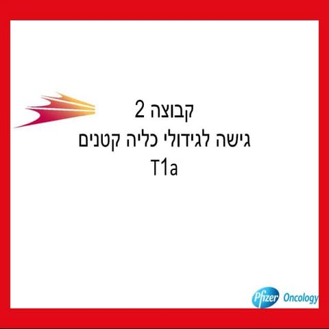 資料庫使用方法