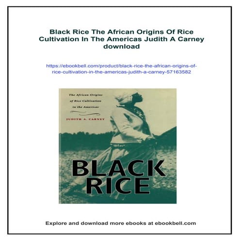 Black Rice The African Origins Of Rice Cultivation In The Americas ...