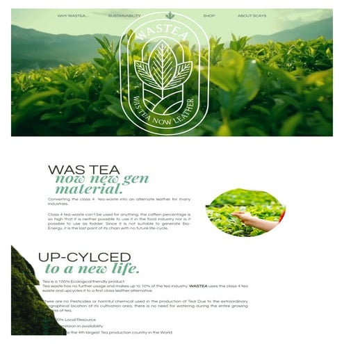 Wastea: Transforming Tea Waste into Stylish Vegan Fashion | PDF