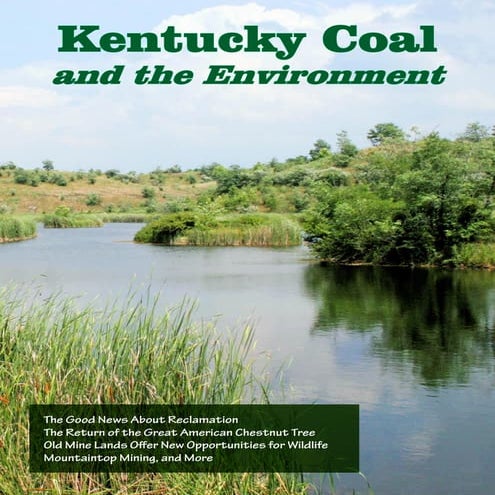 Coal_Environment_Web