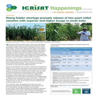 Rising fodder shortage prompts release of two pearl millet varieties with sup...