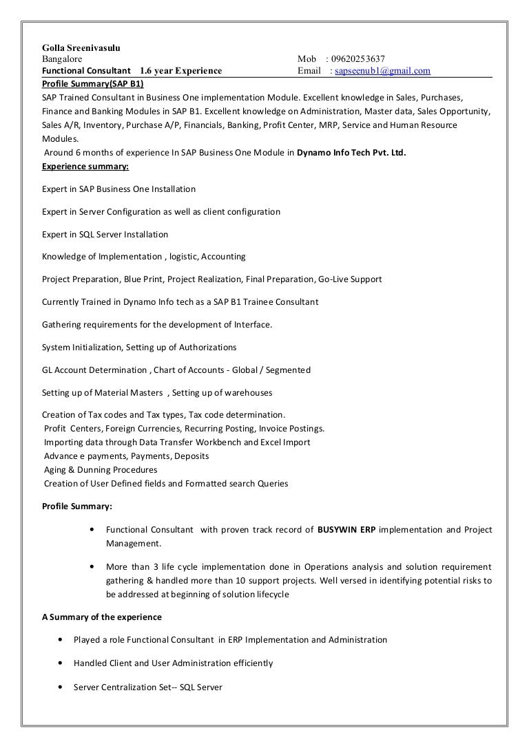 erp implementation resume sample