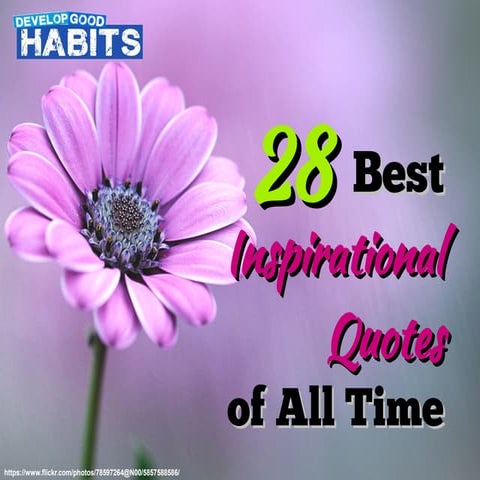 28 Best Inspirational Quotes