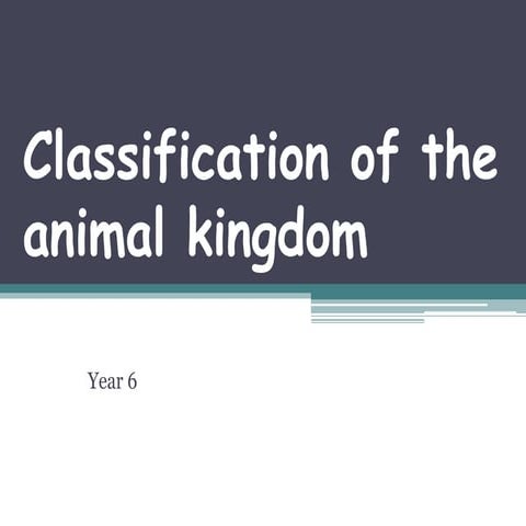 28classification of the animal kingdom