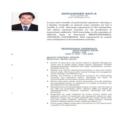 BiometricAccessControlProjectPlanFlat | PDF