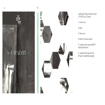 Catalyst Layout And Design Samples Pptx