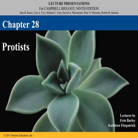 28_Lecture_Presentation.ppt