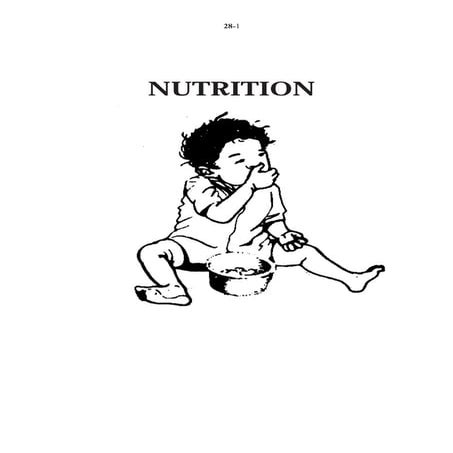 28 nutrition