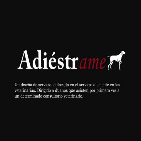 28 oct adiestrame sevicio