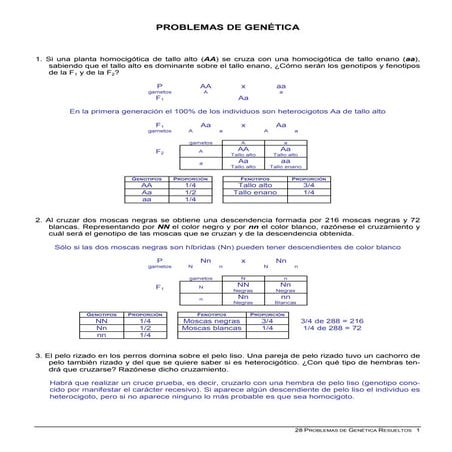 28 Problemas Resueltos De Genética
